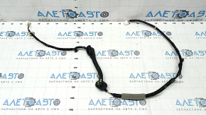 Trunk door wiring right Honda CRV 23-25