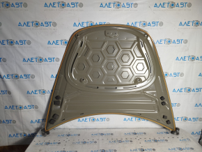 Tesla Model 3 18 bare hood - aluminum China, pokes