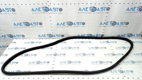 Front left door seal BMW X5 F15 14-18 worn