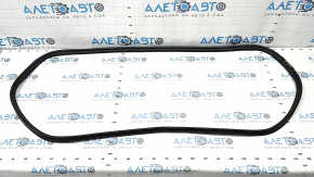 Audi A6 C7 12-18 Trunk Lid Seal