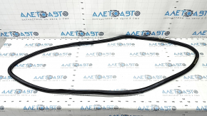 Front left door seal Audi A6 C7 12-18 worn