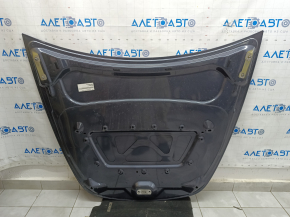 Tesla Model Y 20-25 Naked Hood Graphite PMNG
