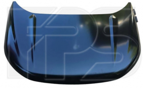 Naked hood Ford Edge 15-18 steel