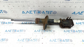 Jeep Renegade 15-23 AWD Trailhawk front right shock absorber, rusty