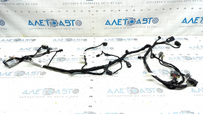 Ford Escape MK4 20-22 Tailgate Wiring