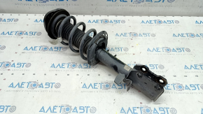 Shock absorber strut assembly front left Ford Escape MK4 21-22 2.0T, hybrid FWD