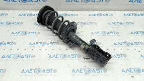 Shock absorber strut assembly front right Ford Escape MK4 20-22 2.0T, hybrid FWD