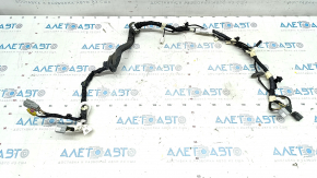 Wiring for the right tailgate of a Ford Escape MK4 20 - for electrical wiring