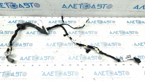 Wiring for the left tailgate of a Ford Escape MK4 20 - under electrical