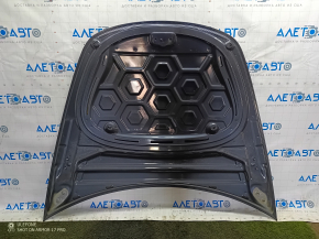 Tesla Model 3 18" hood - aluminum, PMNG graphite