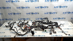Tesla Model 3 18-AWD Engine Bay Wiring