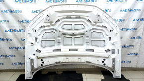 Bare hood Audi Q5 80A 18-24 aluminum, white LS9R, butt