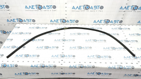 Hood Seal Center Front Ford Bronco Sport 21-25