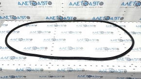 Door Seal Rear Left Ford Bronco Sport 21-25