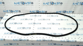 Door Seal Rear Right Ford Bronco Sport 21-25