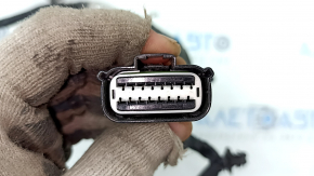Wiring rear bumper Ford Bronco Sport 21-25 for parking sensors