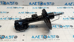 Shock absorber front right Toyota Camry v70 18- LE\XLE TASHIKO