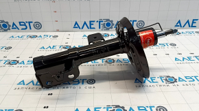 Shock absorber front left Toyota Camry v70 18- LE\XLE TASHIKO