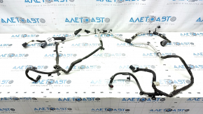 Ford Bronco Sport 2018-2019 1.5T Rear Subframe Wiring