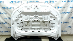 Honda Accord 23-24 aluminum hood, white NH-883P