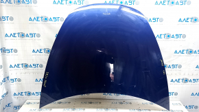 Tesla Model 3 18" Bare Hood - Aluminum, Blue PPSB