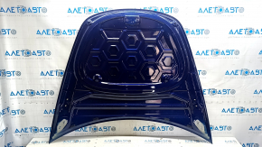 Tesla Model 3 18" Bare Hood - Aluminum, Blue PPSB