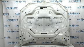 Bare hood BMW X5 G05 19-24 aluminum, white 300, chips, bump