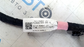 Tesla Model 3 18-Tailgate Wiring