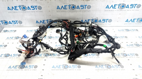 Tesla Model 3 18-WD Engine Bay Wiring