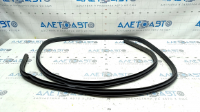 Rear right door seal for Nissan Rogue 21-24 US built, worn