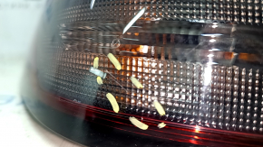 Nissan Rogue 21-24 halogen + LED exterior left fender light, us-built, scratched