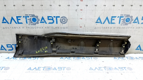 Lexus RX450h 10-15 Hybrid Lower Outer Door Trim with Chrome