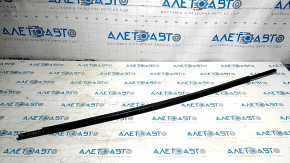 Door-glass molding, center rear left, Toyota Sienna 11-20