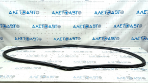 BMW i3 14-20 Trunk Seal