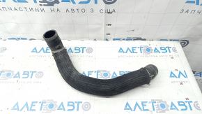 Cooling pipe lower Infiniti Q50 16-24 3.0T