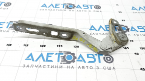 Right hood hinge Audi Q7 4L 10-15