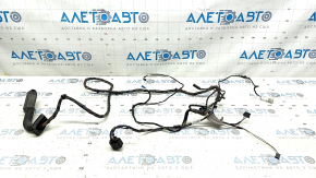 Wiring for the rear left door of a BMW X5 E70 07-13 for keyless entry and a door closer