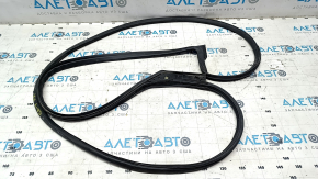 Honda CRV 12-16 front right door seal
