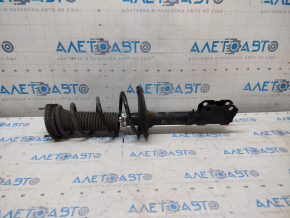 Rear right shock absorber assembly for Toyota Camry v50 13-14 usa LE