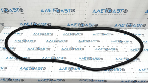 Mitsubishi Outlander 22-25 front left door seal