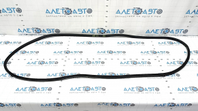 Mitsubishi Outlander 22-25 rear right door seal