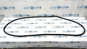 Mitsubishi Outlander 22-25 front right door seal