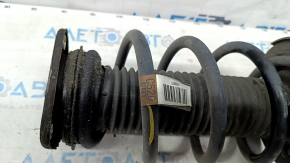 Front left shock absorber assembly for Ford Escape MK3 16-19, straight cup, brown spring