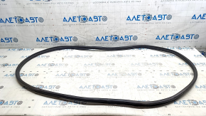 Door seal rear right Nissan Leaf 18-