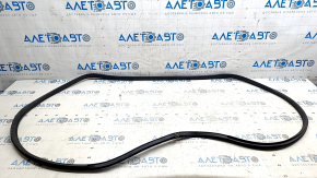 Nissan Leaf 18-24 front left door seal, one-piece