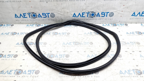 Nissan Leaf 18-24 front left door seal, one-piece