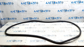 Nissan Leaf 18-24 front right door seal, one-piece
