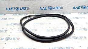 Nissan Leaf 18-24 front right door seal, one-piece