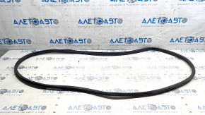 Nissan Leaf 18-18 rear left door seal, one-piece