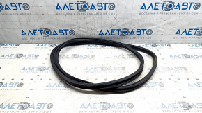 Nissan Leaf 18-18 rear left door seal, one-piece